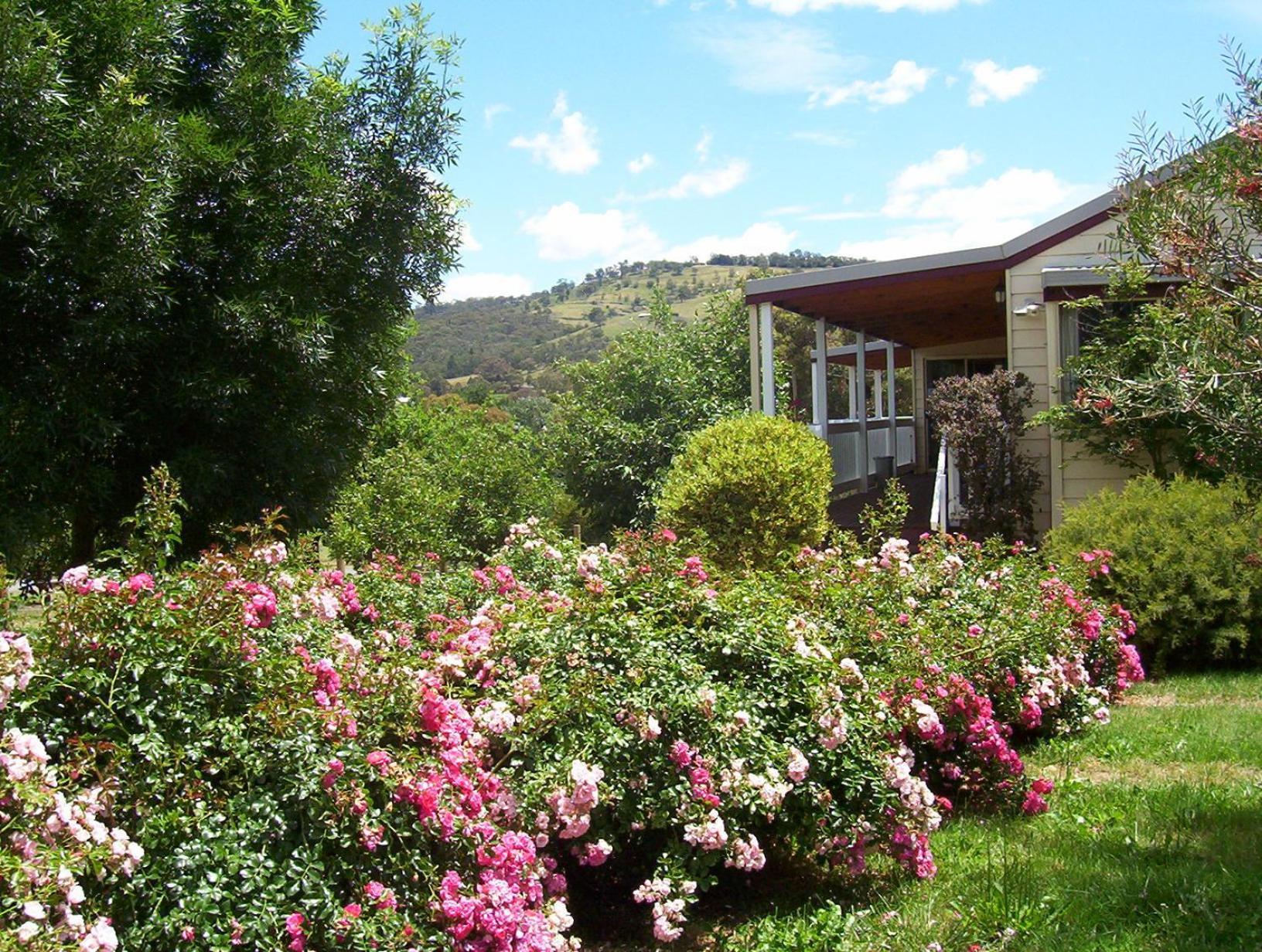 Yarra Glen Bed & Breakfast Zewnętrze zdjęcie